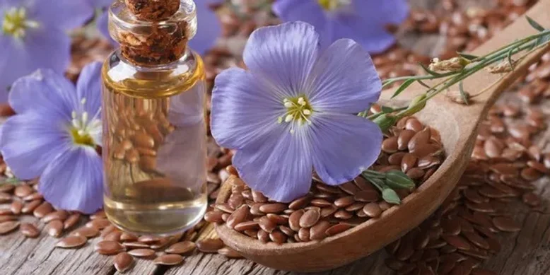 Семена льна