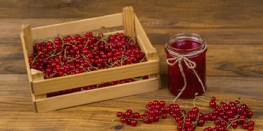 Варенье без варки: рецепт из красной смородины