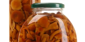 Як швидко замаринувати опеньки на зиму: рецепт для зайнятих