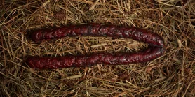 Украинский колорит: рецепт зиньковской колбасы по всем правилам