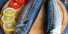 Саламур зі скумбрії: рецепт неперевершеної закуски на Різдво чи Новий рік